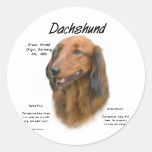 Dachshund (longhair) Geschiedenis Ontwerp Ronde Sticker