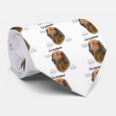 Dachshund (longhair) Geschiedenis Ontwerp Stropdas (Opgerold)