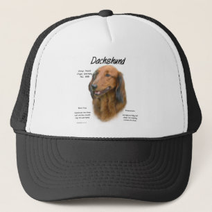 Dachshund (longhair) Geschiedenis Ontwerp Trucker Pet