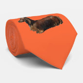 Dachshund_longhair_necktie Stropdas (Opgerold)
