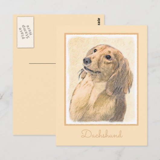 Dachshund (Longhaire) Schilderen - Oorspronkelijke Briefkaart (Voorkant / Achterkant)