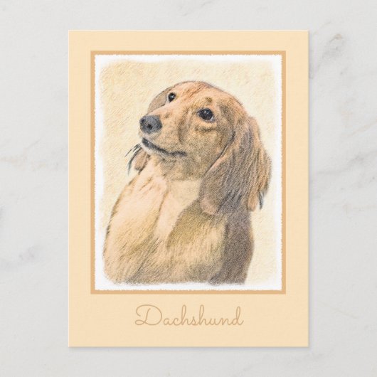 Dachshund (Longhaire) Schilderen - Oorspronkelijke Briefkaart (Voorkant)