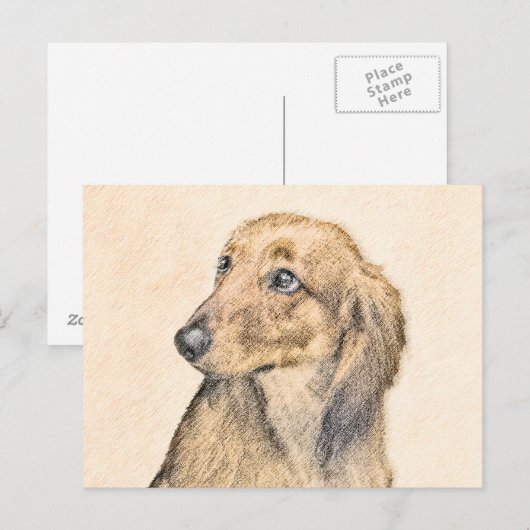 Dachshund (Longhaire) Schilderen - Oorspronkelijke Briefkaart (Voorkant / Achterkant)