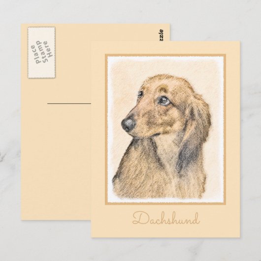 Dachshund (Longhaire) Schilderen - Oorspronkelijke Briefkaart (Voorkant / Achterkant)