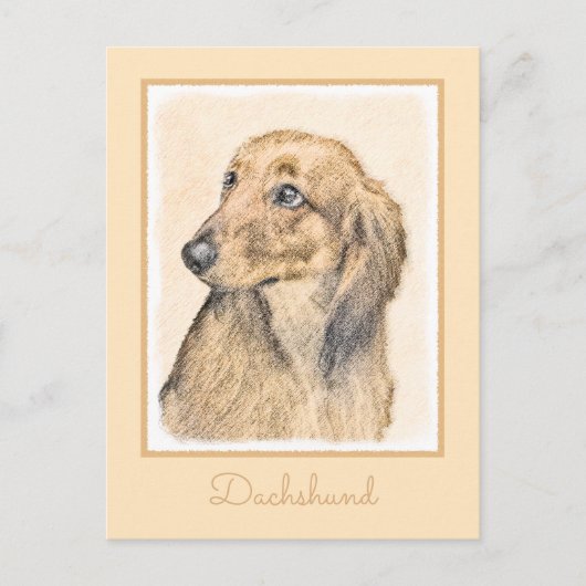 Dachshund (Longhaire) Schilderen - Oorspronkelijke Briefkaart (Voorkant)