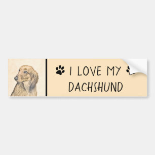 Dachshund (Longhaire) Schilderen - Oorspronkelijke Bumpersticker