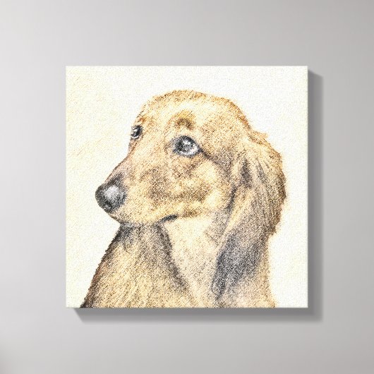 Dachshund (Longhaire) Schilderen - Oorspronkelijke Canvas Afdruk (Voorkant)