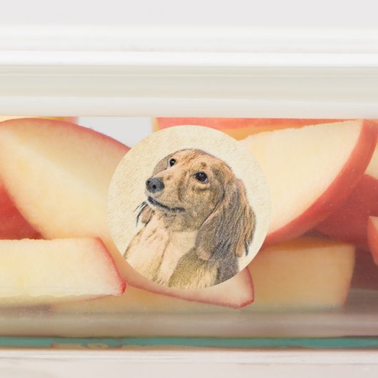 Dachshund (Longhaire) Schilderen - Oorspronkelijke Labels (Aangebracht)