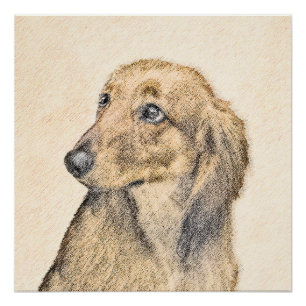 Dachshund (Longhaire) Schilderen - Oorspronkelijke Perfect Poster
