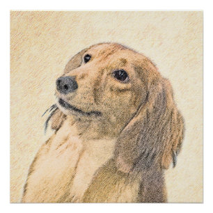 Dachshund (Longhaire) schilderen - Oorspronkelijke Perfect Poster