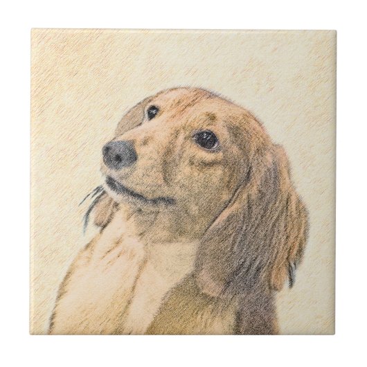Dachshund (Longhaire) Schilderen - Oorspronkelijke Tegeltje (Voorkant)
