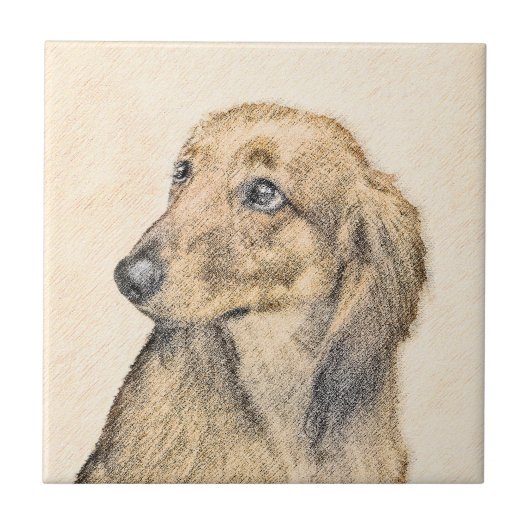 Dachshund (Longhaire) schilderen - Oorspronkelijke Tegeltje (Voorkant)