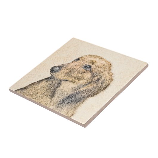Dachshund (Longhaire) schilderen - Oorspronkelijke Tegeltje (Zijkant)