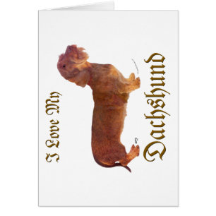 Dachshund Love