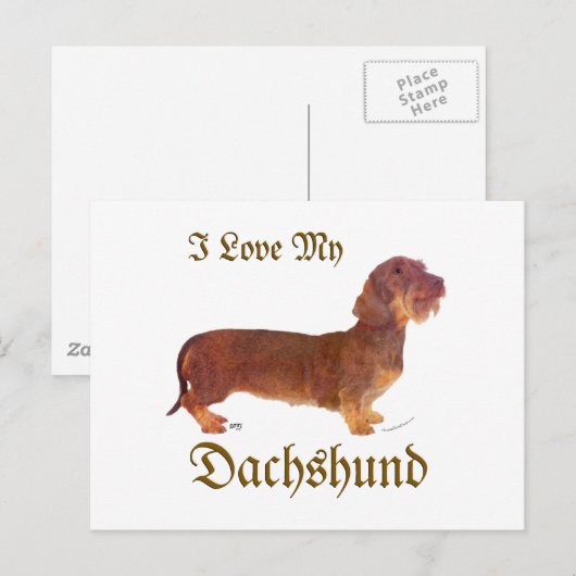 Dachshund Love Briefkaart (Voorkant / Achterkant)