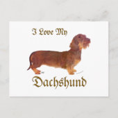 Dachshund Love Briefkaart (Voorkant)