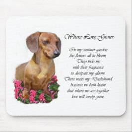 Dachshund Lovers Gifts Muismat