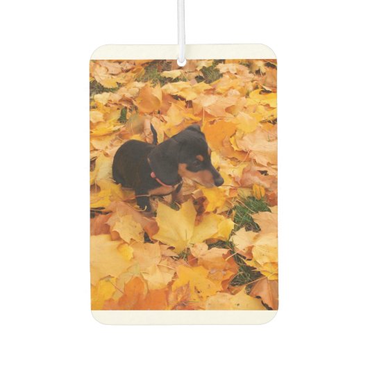 Dachshund luchtverfrisser (Voorkant)