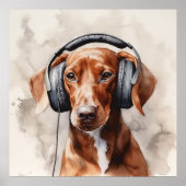 Dachshund luistert naar een hoofdtelefoon poster (Voorkant)