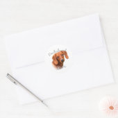 Dachshund Ma 2 Ronde Sticker (Envelop)