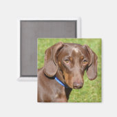 Dachshund Magneet (Voorkant / Achterkant)