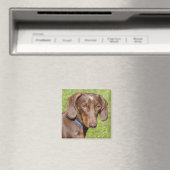 Dachshund Magneet (Insitu (Vaatwasser))