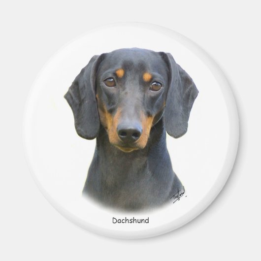 Dachshund Magneet (Voorkant)