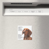 Dachshund Magnet (Insitu (Vaatwasser))