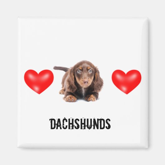 Dachshund Magnet (Voorkant)