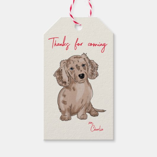dachshund merle aquarel cadeaulabel (Voorkant)