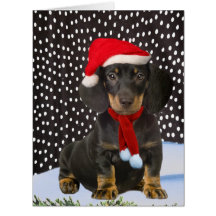 Dachshund Merry Kerstmis