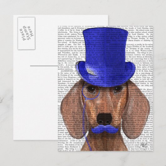 Dachshund met blauw bovenhoofd en blauwe snor briefkaart (Voorkant / Achterkant)