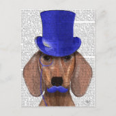 Dachshund met blauw bovenhoofd en blauwe snor briefkaart (Voorkant)