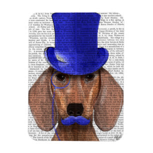 Dachshund met blauw bovenhoofd en blauwe snor magneet