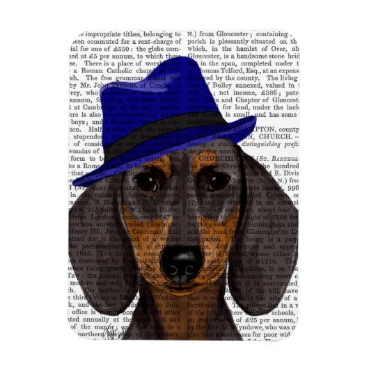 Dachshund met Blue Trilby Magneet (Verticaal)