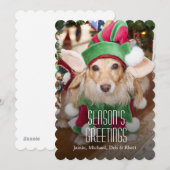 Dachshund met elf staarten feestdagenkaart (Voorkant / Achterkant)