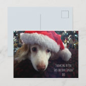 Dachshund met kersthoed en kerstboom briefkaart (Voorkant / Achterkant)