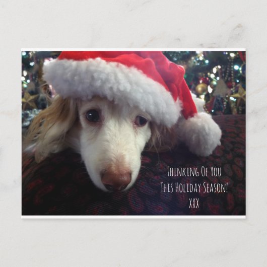 Dachshund met kersthoed en kerstboom briefkaart (Voorkant)