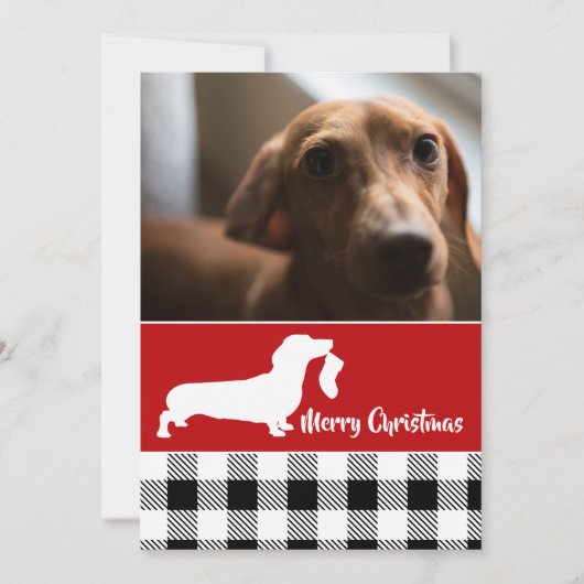 Dachshund met Kous Kerst Foto Feestdagenkaart (Voorkant)