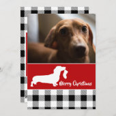Dachshund met Kous Kerst Foto Feestdagenkaart (Voorkant / Achterkant)