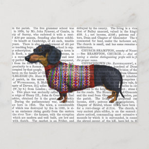 Dachshund met poly Sweater Briefkaart