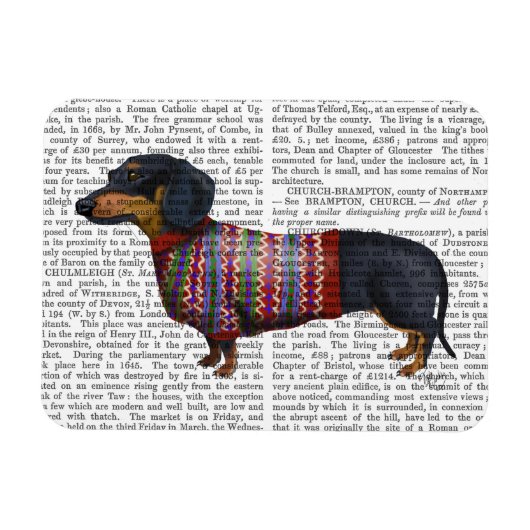 Dachshund met poly Sweater Magneet (Horizontaal)