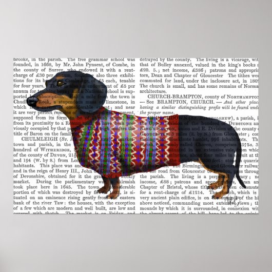 Dachshund met poly Sweater Poster (Voorkant)