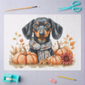 Dachshund met pompoenen decoupage tissuepapier (Craft)