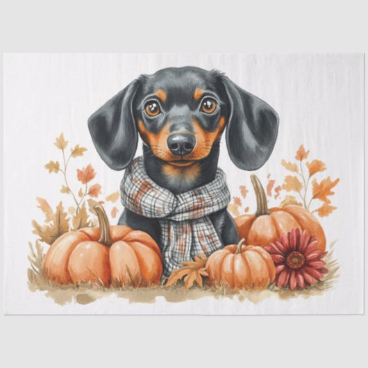 Dachshund met pompoenen decoupage tissuepapier (Voorkant)