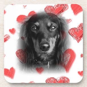 Dachshund met rode harten bier onderzetter