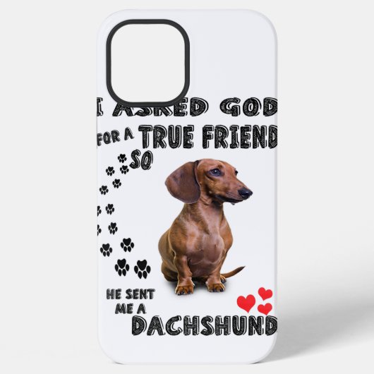 Dachshund Miniature Gift, Sause Dog, Weenie Wog iPhone Hoesje (Achterkant)