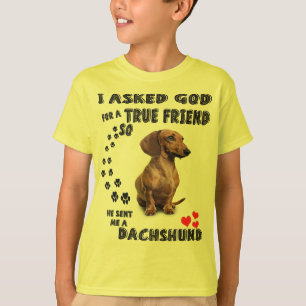 Dachshund Miniature Gift, Sause Dog, Weenie Wog T-shirt