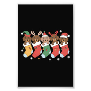 Dachshund Moeder Kerstmis Hond Liefhebber Geschenk Foto Afdruk