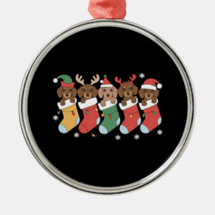 Dachshund Moeder Kerstmis Hond Liefhebber Geschenk Metalen Ornament